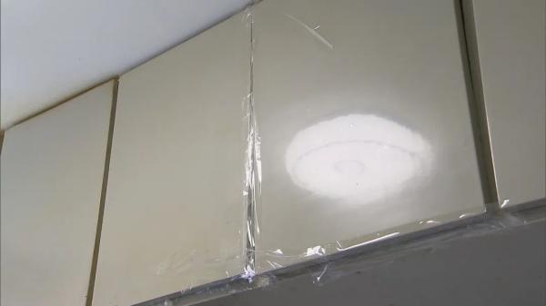 蝙蝠飞进家里好吗，家里进蝙蝠的真正预兆（上海居民家里接连出现蝙蝠）