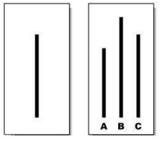 基金跌了補(bǔ)倉為什么持倉成本價(jià)還變高了，基金跌了補(bǔ)倉為什么持倉成本價(jià)還變高了呢？