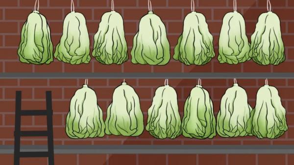 建军节是谁的节日，建军节是什么节日（八一建军节：祝最可爱的人）