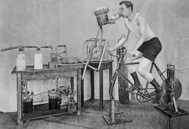 calorimeter 是什么意思，calorimeter（卡路里的身世变迁）