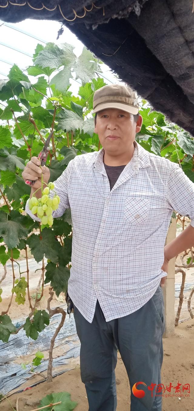 蟠枣产地，蟠枣产地在什么地方（戈壁滩上的“江南”——玉门东渠的振兴之路）