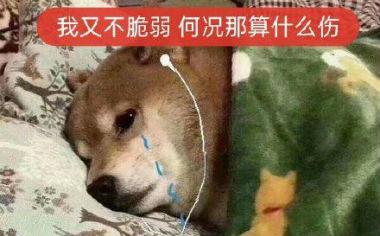 夜来非什么意思(夜来非是骂人的吗)
