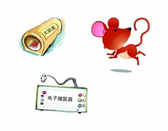 老鼠会爬墙吗，老鼠能爬上墙吗（老鼠体表有多少类寄生虫）