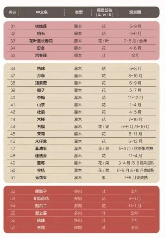 多花筋骨草价格多少，筋骨草哪个品种花多（百元一斤的水果……这份上海窗阳台彩化名单）