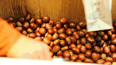 北方人立秋吃什么，立秋北方吃什么传统食物（立秋：一叶落而知天下秋）