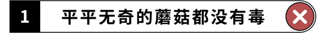 100条绝密生活常识，你妈都不知道的100条生活常识