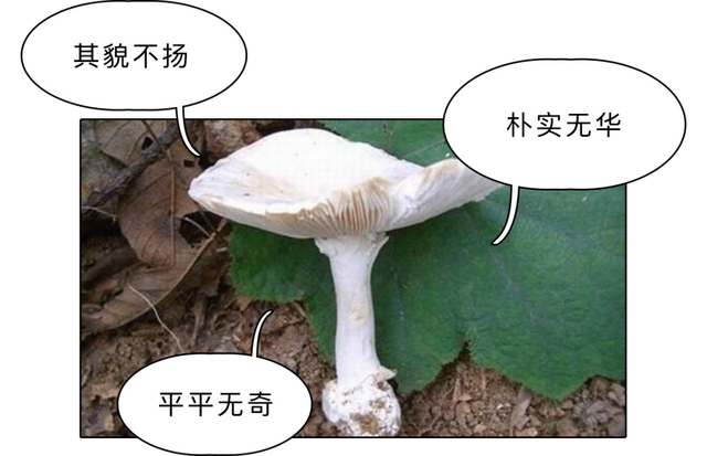 100条绝密生活常识，你妈都不知道的100条生活常识