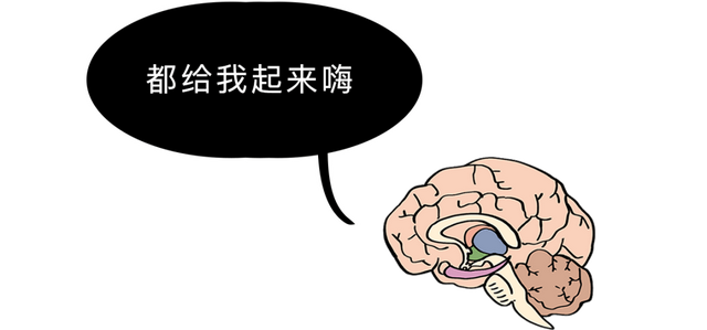 100条绝密生活常识，你妈都不知道的100条生活常识