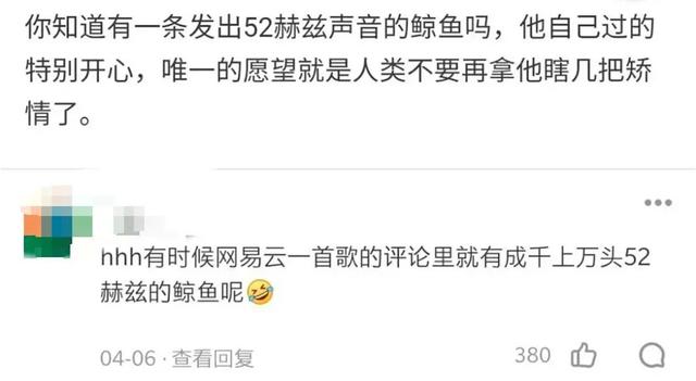 夜来非是什么意思，夜来非吗什么意思（在“网抑云”遭群嘲之后）