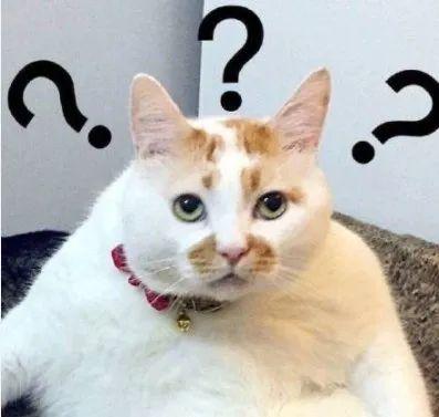 武汉中意家电维修 武汉13家电梯维保单位获差评，看看有没有你家的？