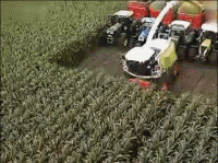 德国面积相当于中国哪个省，德国领土面积相当于中国的那个省（没有德国农业机械做不了的么）