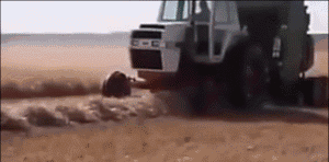 德国面积相当于中国哪个省，德国领土面积相当于中国的那个省（没有德国农业机械做不了的么）