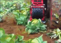 德国面积相当于中国哪个省，德国领土面积相当于中国的那个省（没有德国农业机械做不了的么）