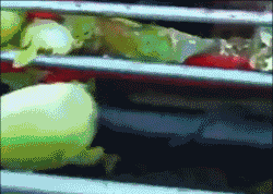 德国面积相当于中国哪个省，德国领土面积相当于中国的那个省（没有德国农业机械做不了的么）