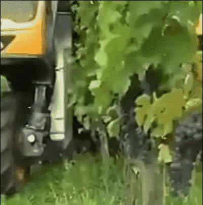 德国面积相当于中国哪个省，德国领土面积相当于中国的那个省（没有德国农业机械做不了的么）