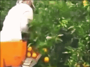 德国面积相当于中国哪个省，德国领土面积相当于中国的那个省（没有德国农业机械做不了的么）