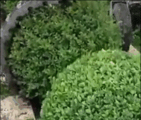 德国面积相当于中国哪个省，德国领土面积相当于中国的那个省（没有德国农业机械做不了的么）