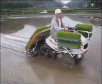 德国面积相当于中国哪个省，德国领土面积相当于中国的那个省（没有德国农业机械做不了的么）