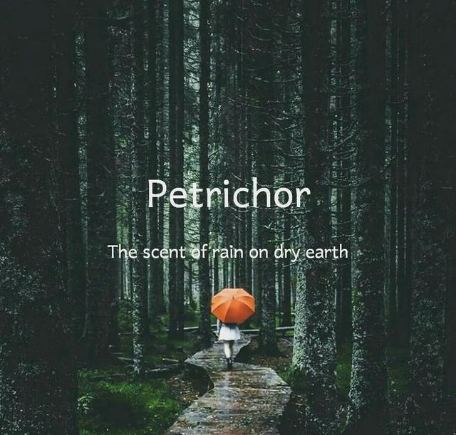 香奈儿19号香水，香奈儿有7号香水吗（那些奇奇怪怪的味道）