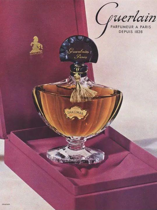 香奈儿19号香水，香奈儿有7号香水吗（那些奇奇怪怪的味道）