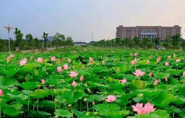 南昌理工学院宿舍，2021南昌理工学院排名（南昌理工学院2020山东招收统招本专科计划356人）