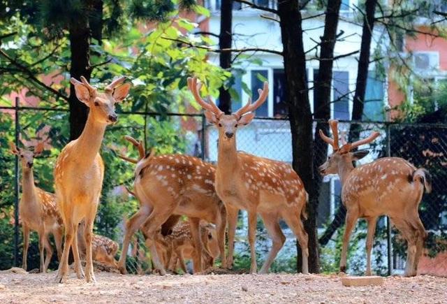 南昌理工学院宿舍，2021南昌理工学院排名（南昌理工学院2020山东招收统招本专科计划356人）