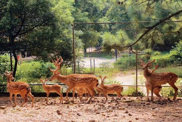 南昌理工学院宿舍，2021南昌理工学院排名（南昌理工学院2020山东招收统招本专科计划356人）