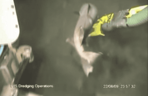 水的表面张力是多少，水的表面张力是多少帕（让潜水员闻风丧胆的物理现象）