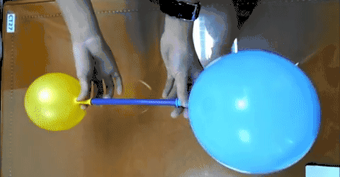 水的表面张力是多少，水的表面张力是多少帕（让潜水员闻风丧胆的物理现象）