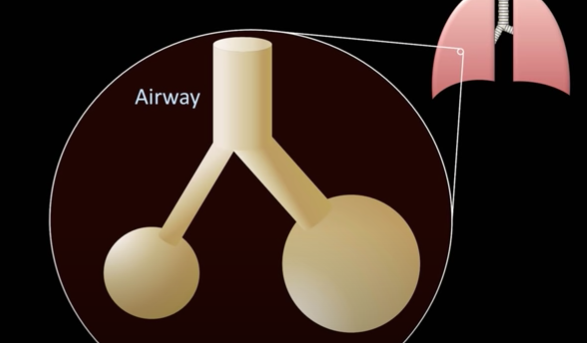 水的表面张力是多少，水的表面张力是多少帕（让潜水员闻风丧胆的物理现象）