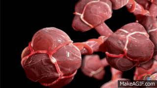 水的表面张力是多少，水的表面张力是多少帕（让潜水员闻风丧胆的物理现象）