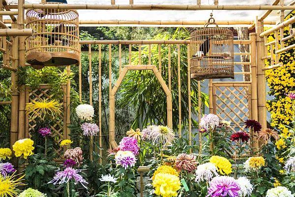 养花网（爱养花网），养花大全45集（养花之家手机版）