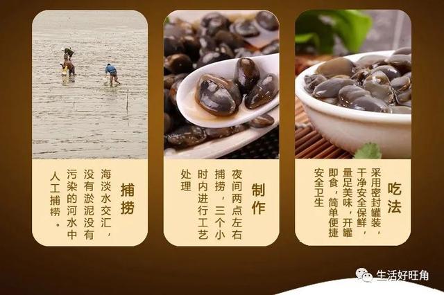 泥螺怎么吃，盐城地方土特产-----黄泥螺（醉黄泥螺怎么吃）