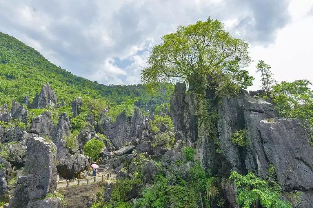 中山青旅（贺州）