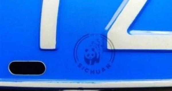 遍地鲜花打一地名，遍地鲜花打一地名儿（四川是大熊猫）