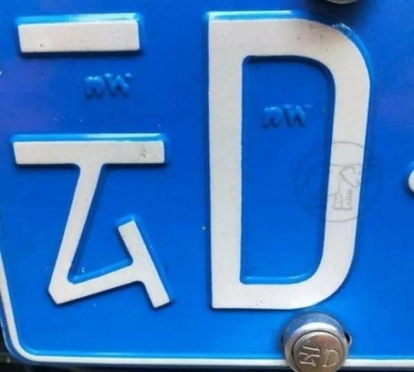 遍地鲜花打一地名，遍地鲜花打一地名儿（四川是大熊猫）