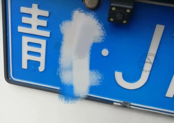 遍地鲜花打一地名，遍地鲜花打一地名儿（四川是大熊猫）