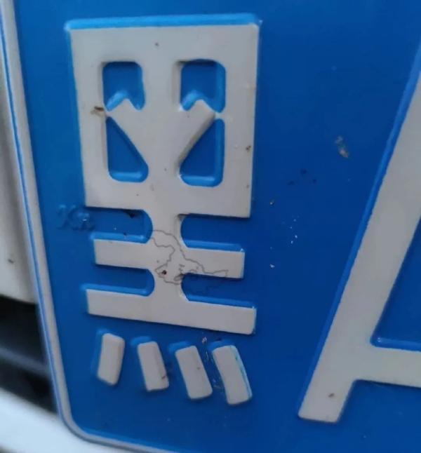 遍地鲜花打一地名，遍地鲜花打一地名儿（四川是大熊猫）