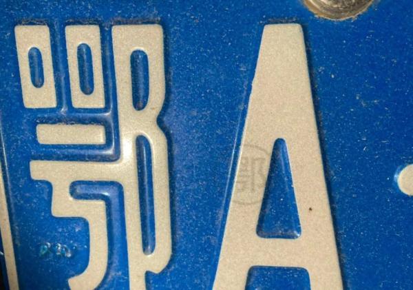 遍地鲜花打一地名，遍地鲜花打一地名儿（四川是大熊猫）