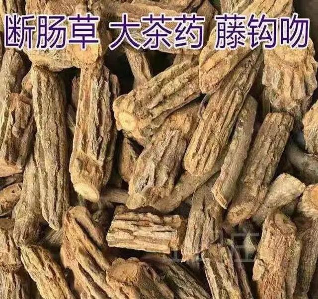 五指毛桃煲汤的禁忌，五指毛桃和什么煲汤最好（祸根在混进了这种“毒药”……）