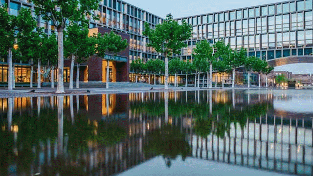 路桥中学校花（想念天大了吗）