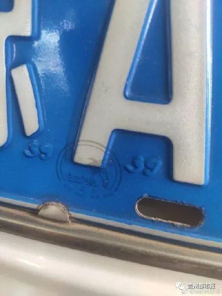 遍地鲜花打一地名，遍地鲜花打一地名儿（四川是大熊猫）