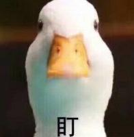 遍地鲜花打一地名，遍地鲜花打一地名儿（四川是大熊猫）