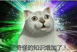 遍地鲜花打一地名，遍地鲜花打一地名儿（四川是大熊猫）