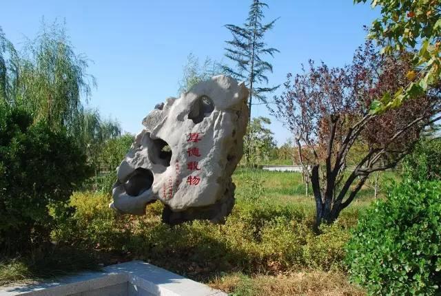 潍坊工程职业学院宿舍，2021年山东交通职业学院新生宿舍条件图片环境怎么样（山东城市建设职业学院2020招生问题解答看这里）