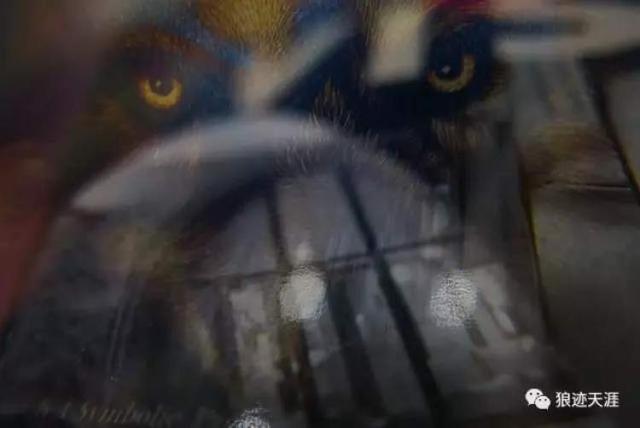 农历七月搬家好吗，农历七月适合搬家吗（七月禁忌多）