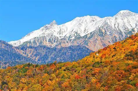 usdt是什么币，Usdt是什么币（USDT涉刑分析）