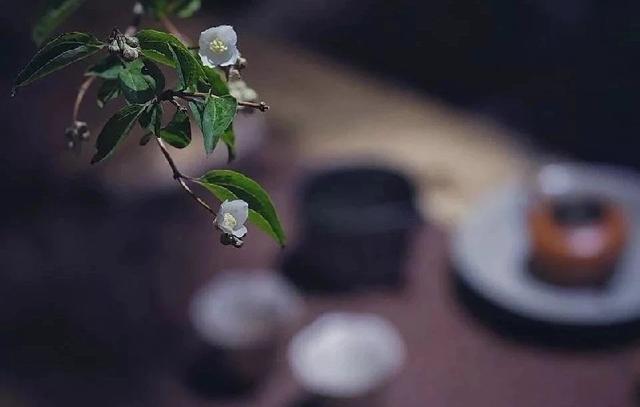 组委会是什么意思，组委会成员是什么意思（“剧透”助您展现检美学）