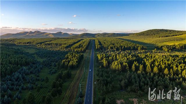 塞罕坝林场在哪里，塞罕坝林场在哪里离北京多远（河北承德：更绿、更美塞罕坝）
