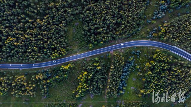 塞罕坝林场在哪里，塞罕坝林场在哪里离北京多远（河北承德：更绿、更美塞罕坝）